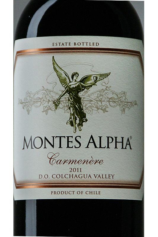 Шарап бөтелкесін таңбалау машинасы Екі жақты чили Санта-Мария электр жүргізушісі